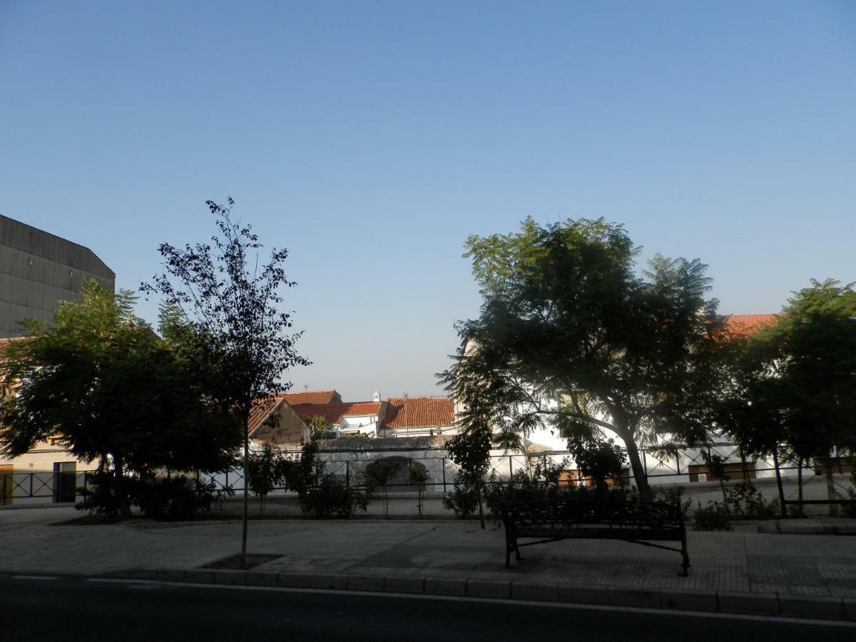 El Olivar Caceres Ngoại thất bức ảnh